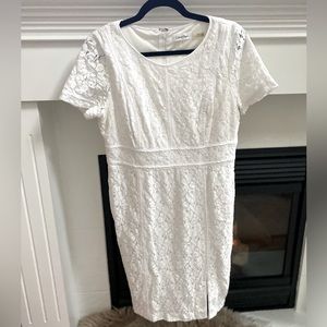 Calvin Klein White Lace Sheath Dress With Gold Zipper- Size 12
